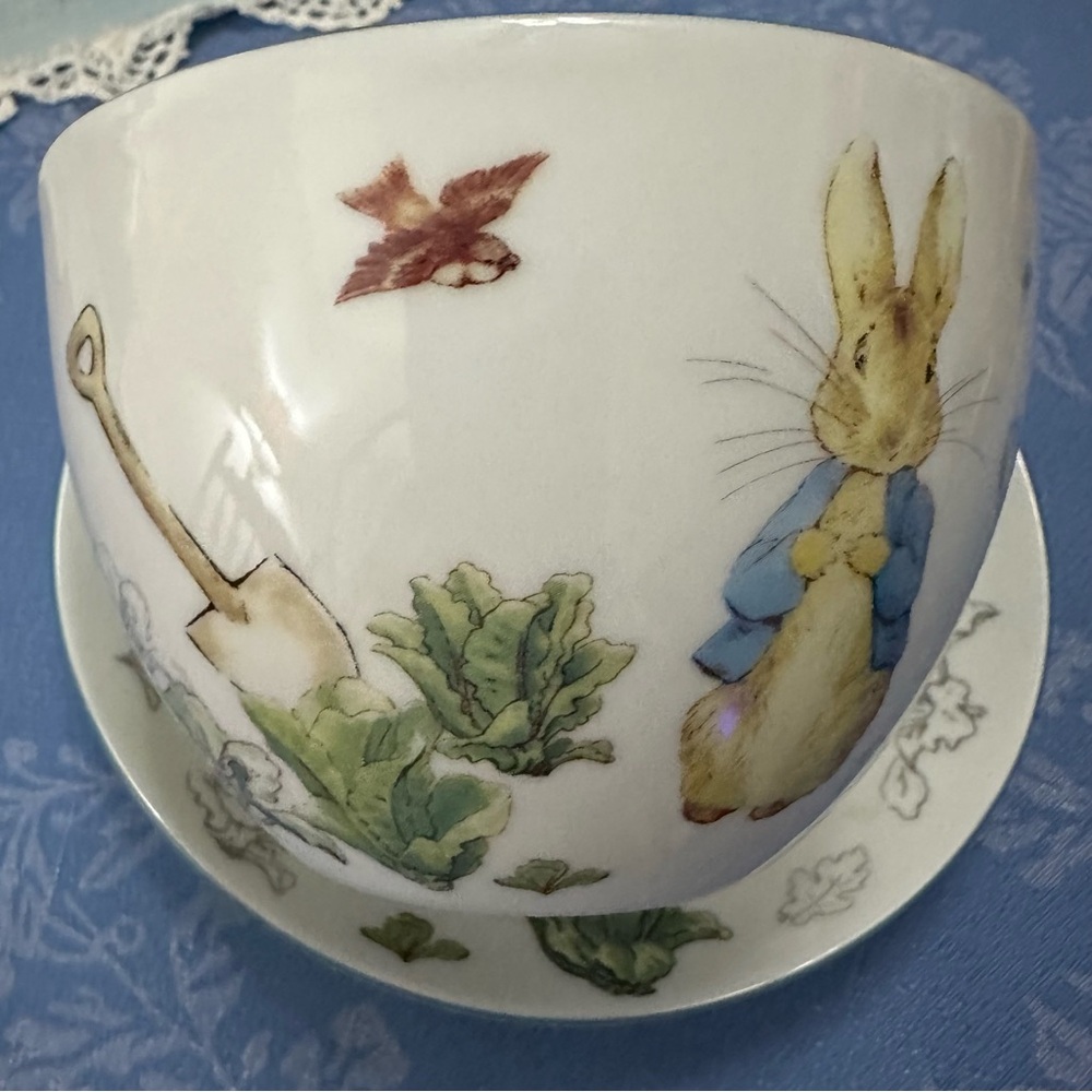 Beatrix Potter Peter Rabbit Floral Teacup and Saucer